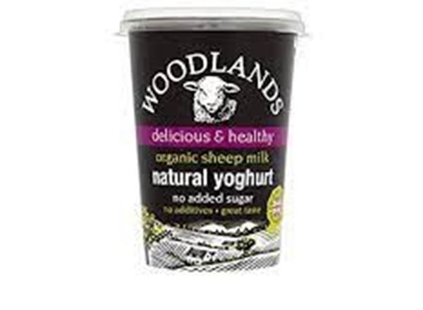 Woodlands Sheep Organic Yoghurt Large