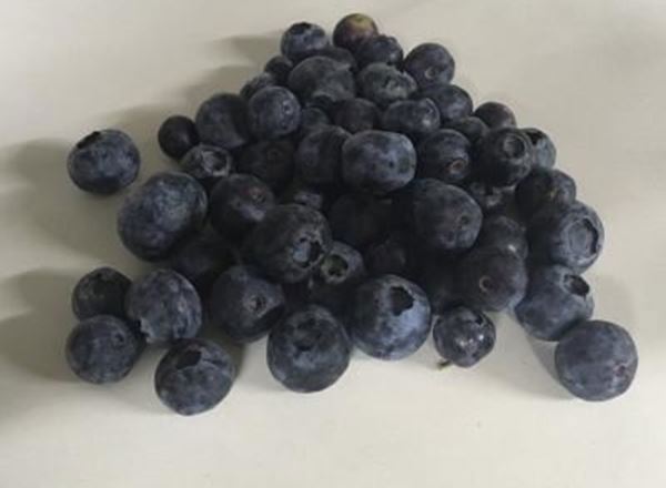 Blueberries - Organic UK