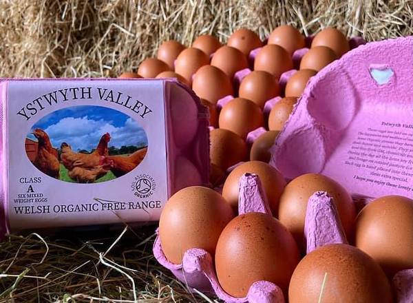 Organic Eggs x6