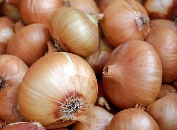 500g Onions