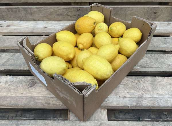 Organic Lemon