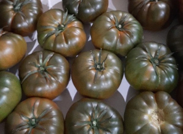 Tomatoes - Black Ribbed (Spain)