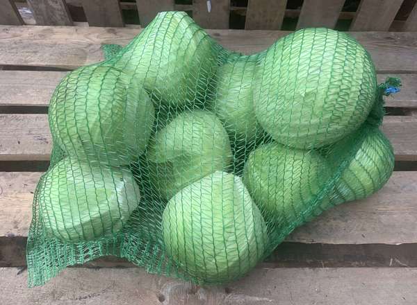 Organic White Cabbage (1kg)