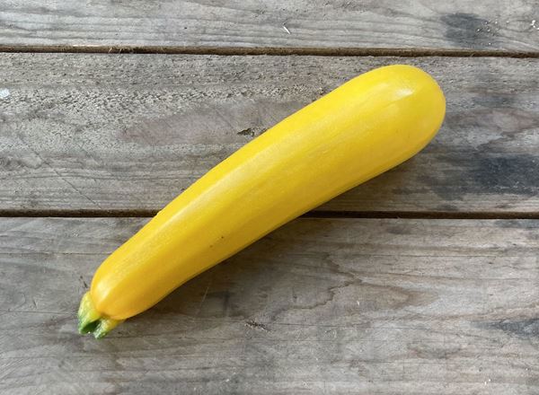 Yellow Courgette