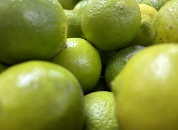 Limes