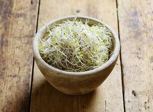 Alfalfa & Radish Sprouts
