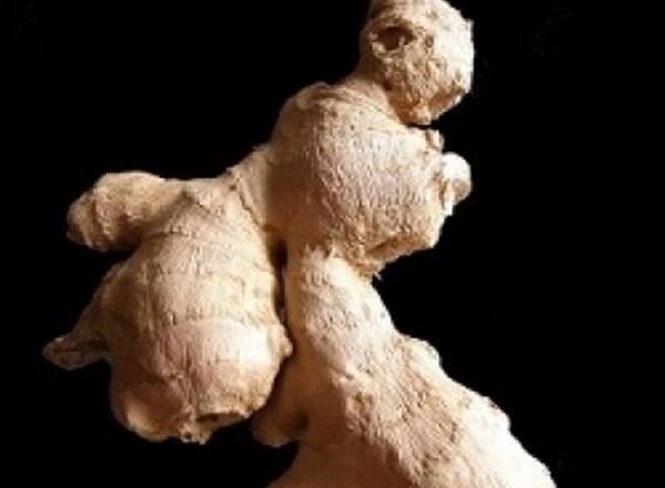 Ginger - Fresh Organic 150g