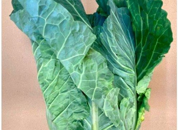 Spring Greens (500g)