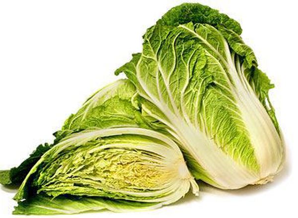 Cabbage: Napa