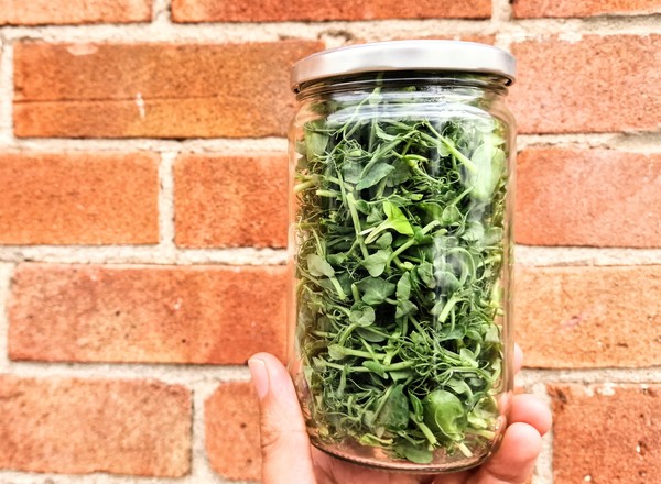 Micro Salad Mix (in returnable glass jars)