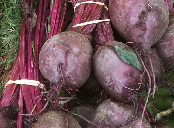 Beetroot - Bunched
