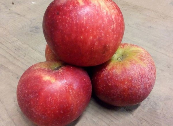 Apple: Discovery