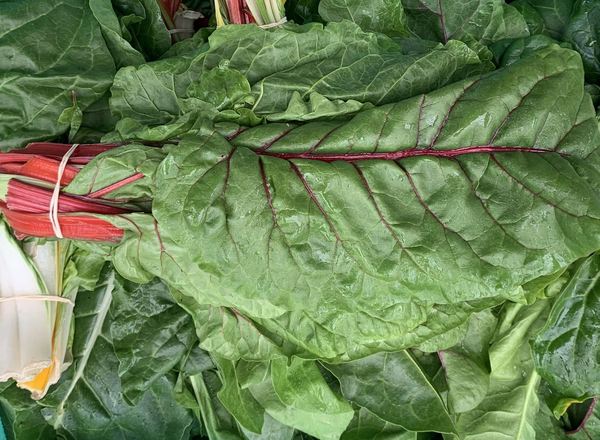 Chard - Rainbow (France)