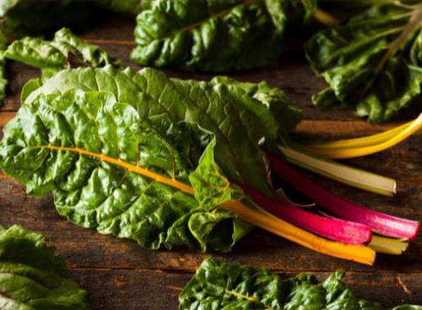 Rainbow Chard