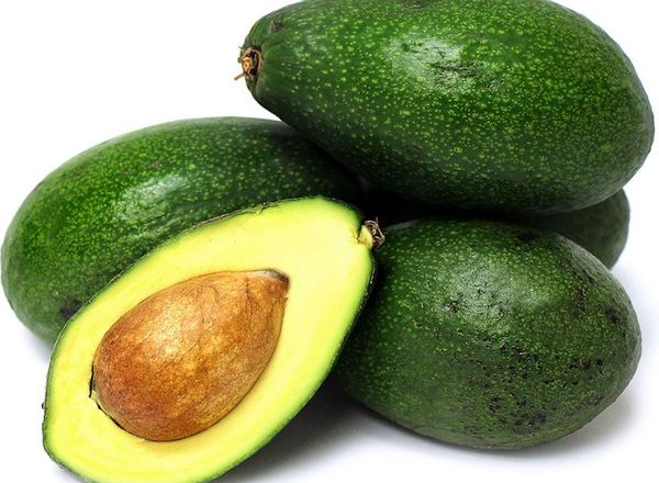 Avocado Organic