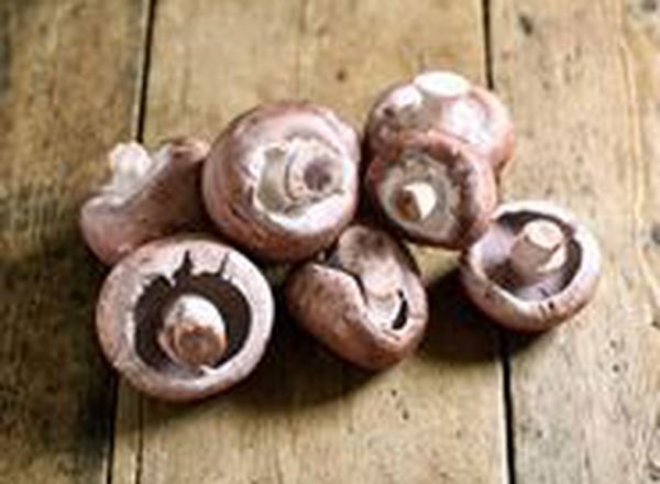 Mushrooms - British Organic Chestnut