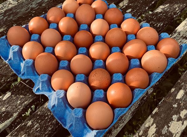 Eggs, tray Community Share Donation