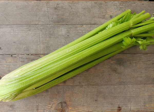 Celery