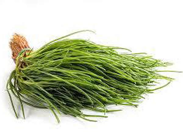 Agretti (monk's beard)