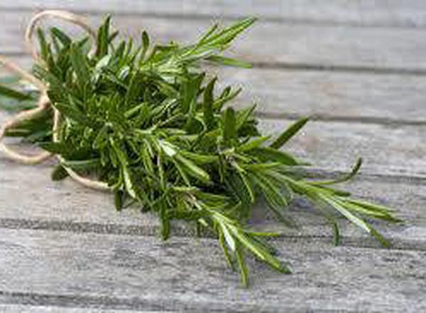 Rosemary