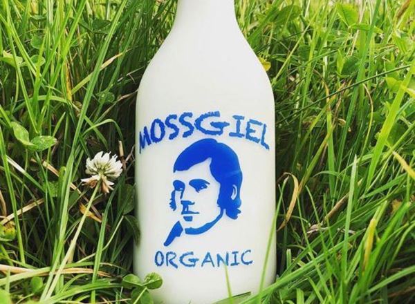 Mossgiel Whole Milk