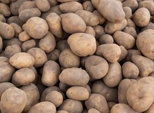 Potatoes (600g)