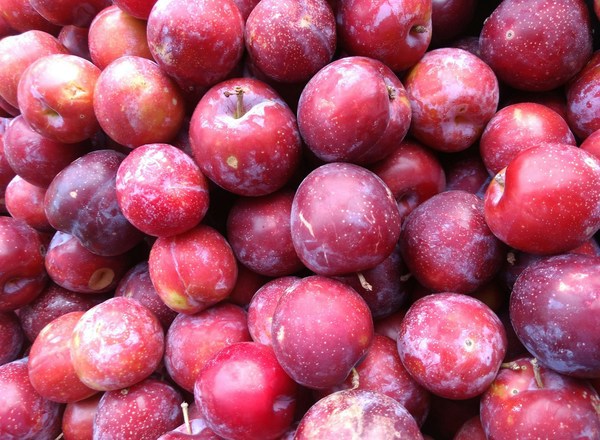 Organic Plums