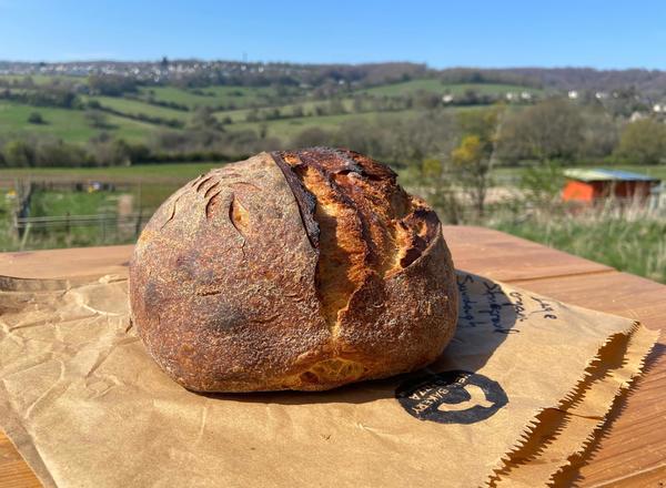 Small white sourdough