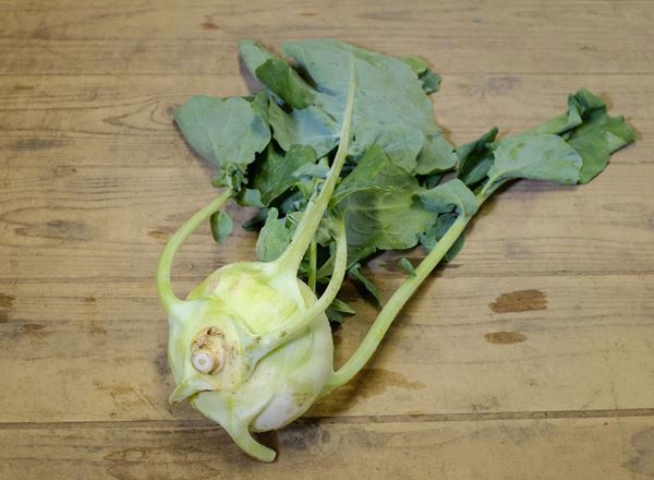 Kohl Rabi - Green