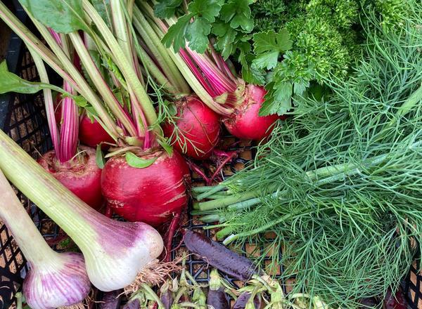 Small Veg Box