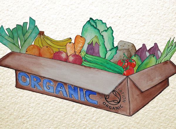 Organic Mixed Veg & Fruit Boxes