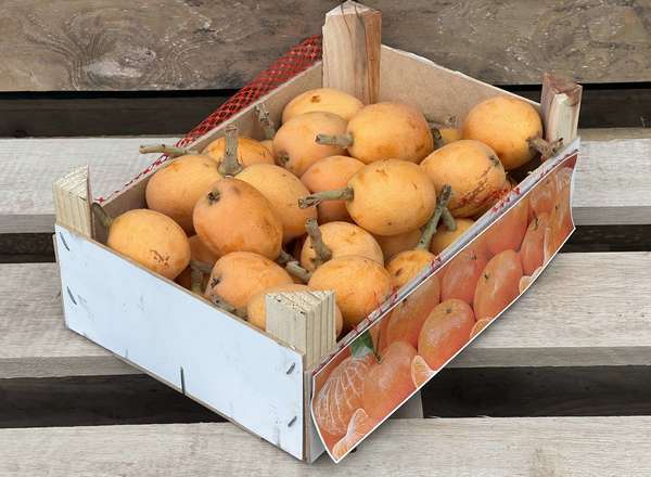 Organic Loquat