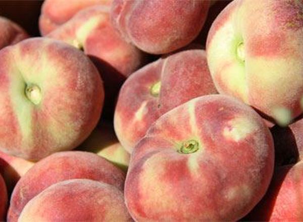 Peaches - 250g (Own Grown)