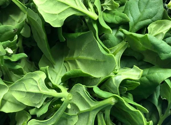 New Zealand Spinach 200g