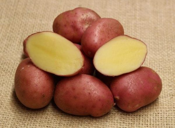 Potato: Red Sunset 12.5kg