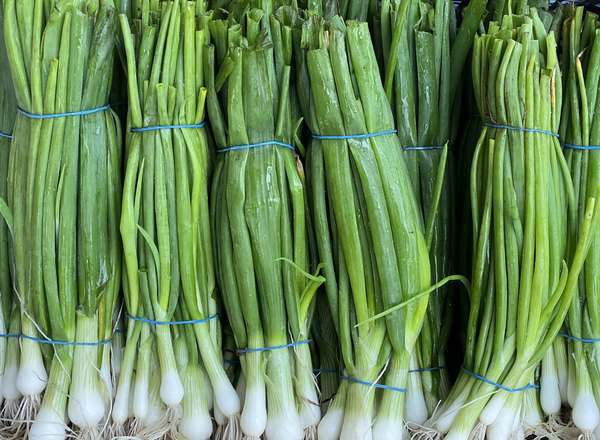 Organic Spring Onions