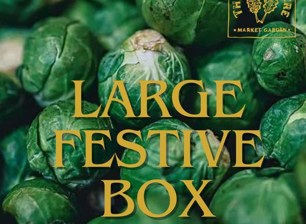 Large Festive Box