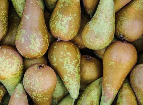 Pears (500g)