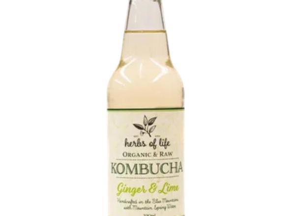 Kombucha Organic: Lime & Ginger - HL (Esky Required)