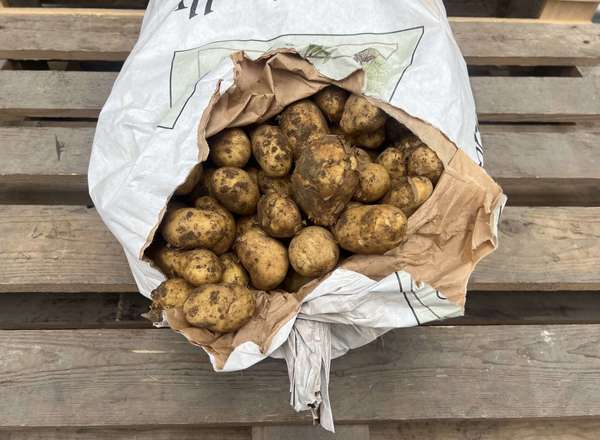 Potatoes - 1kg