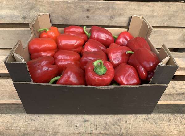 Organic Pepper Red