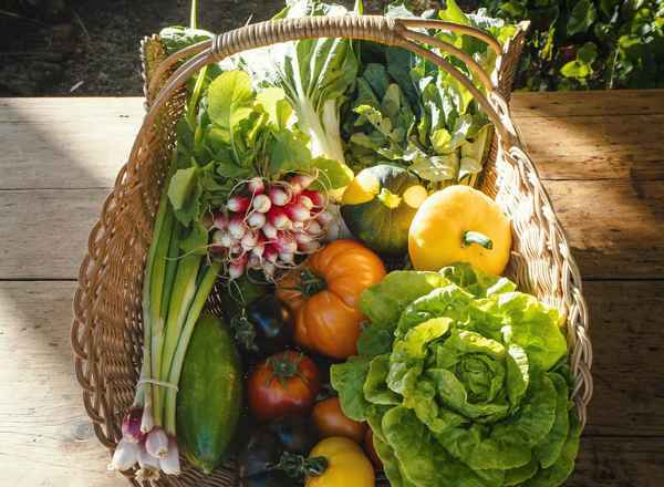 Seasonal Veggie Box