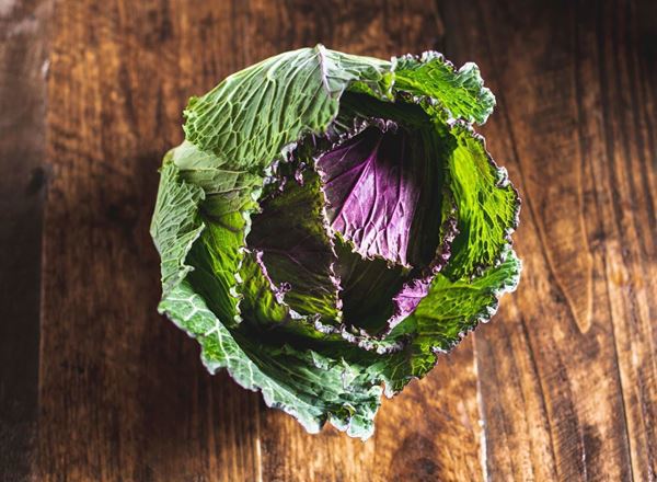 Cabbage - January King Organic UK