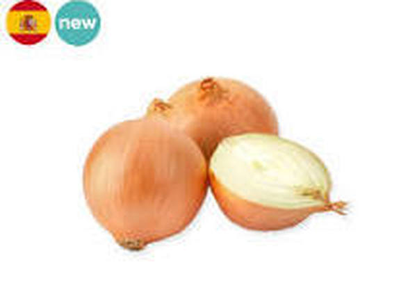 Onion Babosa