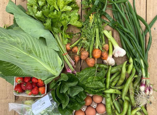 Large veg box