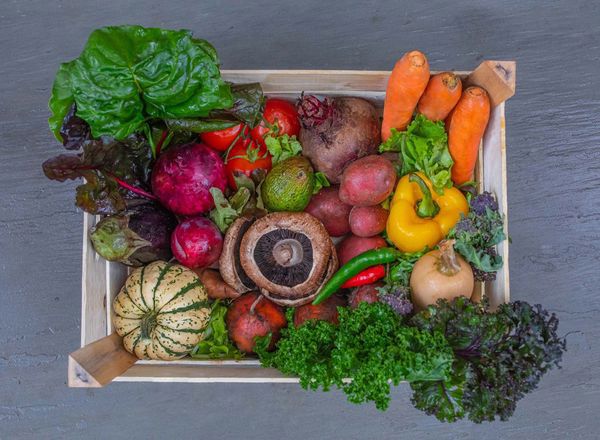 Organic Small Fruit & Veg Box