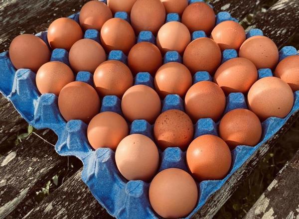 Henbant Eggs Tray (30)