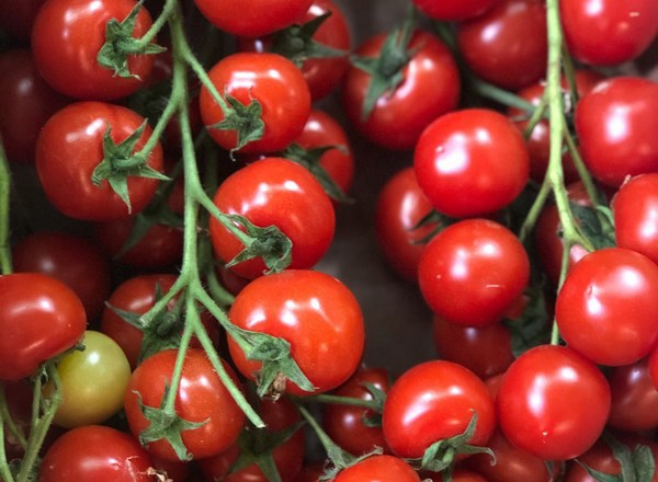 Cherry Tomatoes