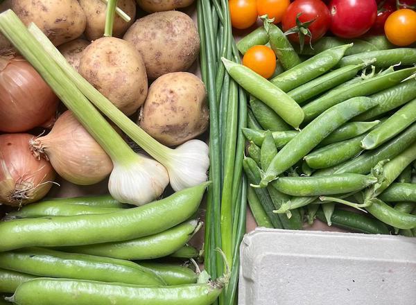 Medium Veg Box