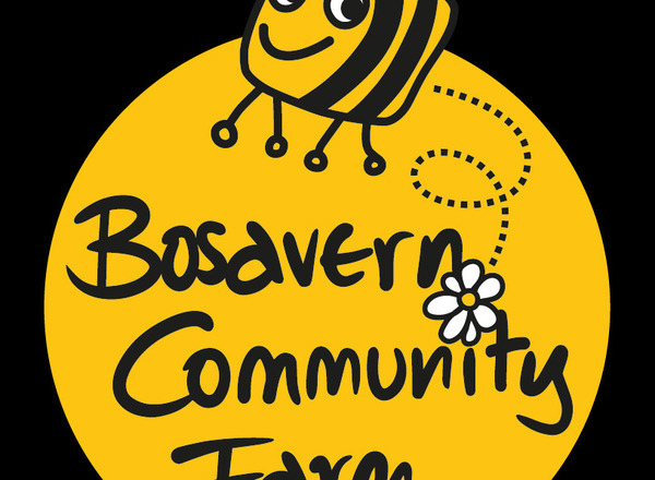Honey, 227g, Bosavern Community Farm
